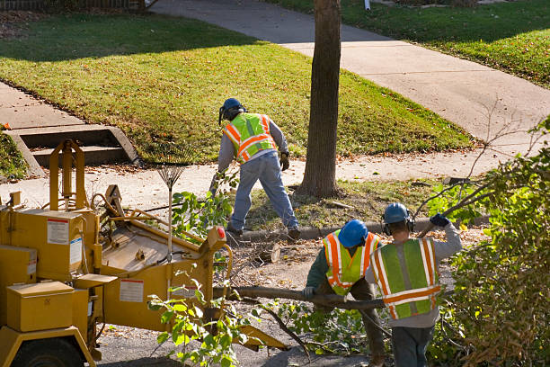 Lawn Watering Services in George, IA